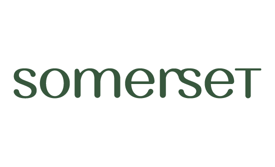 Somerset QPlex ShenZhen Logo
